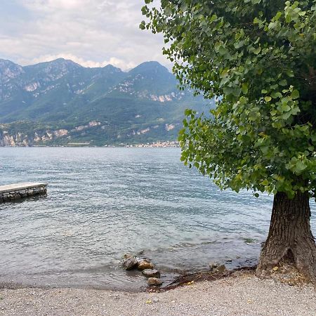 Al Cottage Oliveto Lario Екстер'єр фото