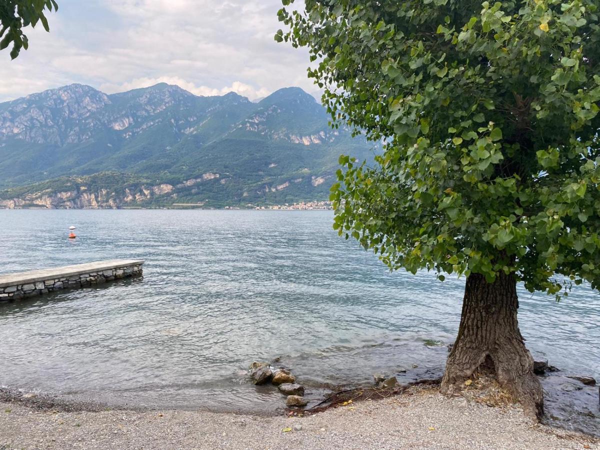 Al Cottage Oliveto Lario Екстер'єр фото